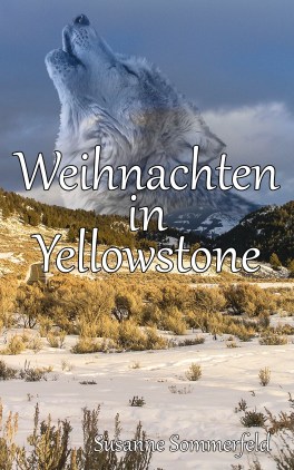 Weihnachten in Yellowstone