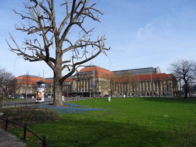 DSC00707