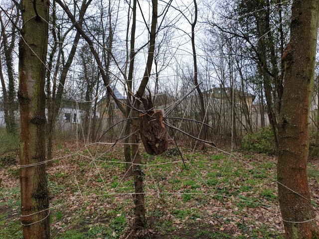20190327_164801
