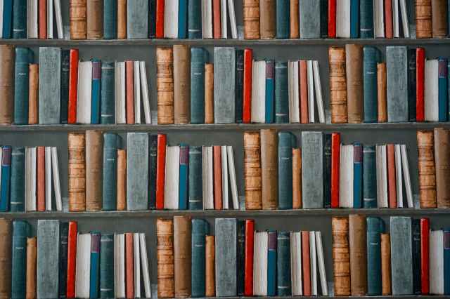 books on bookshelves