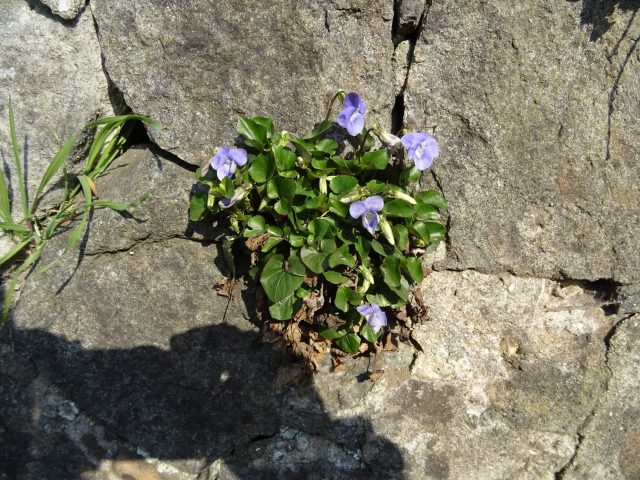DSC01655